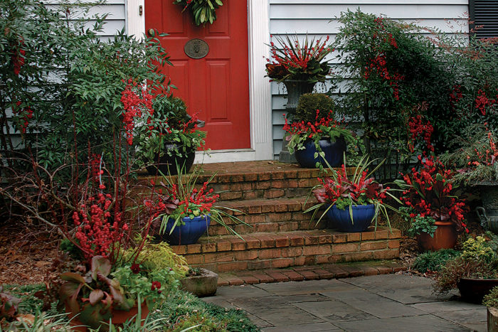 colorful outdoor planters