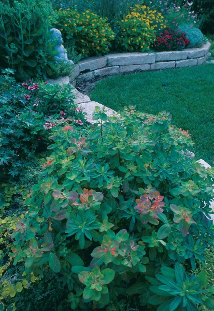 sunny and shady areas of a garden