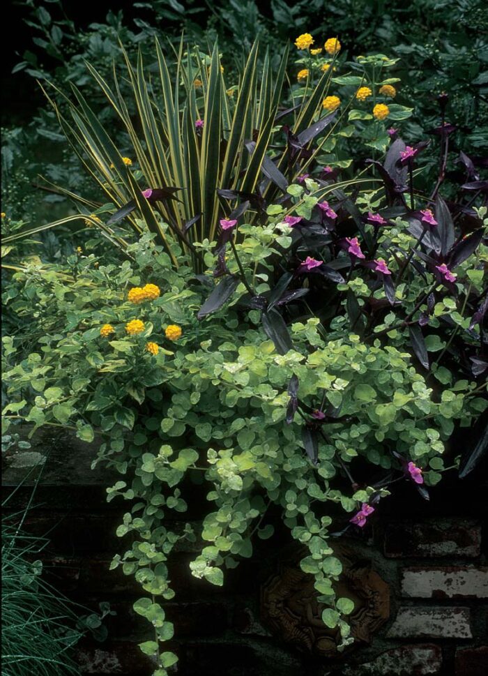 flower arrangement