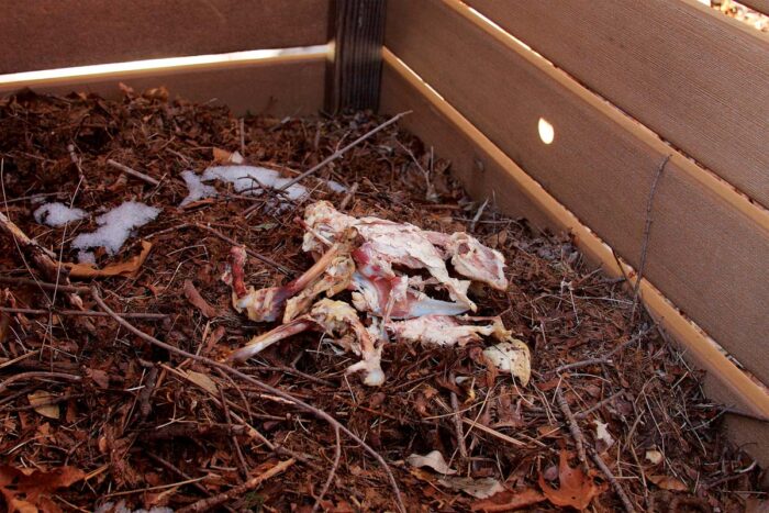 putting bones in compost