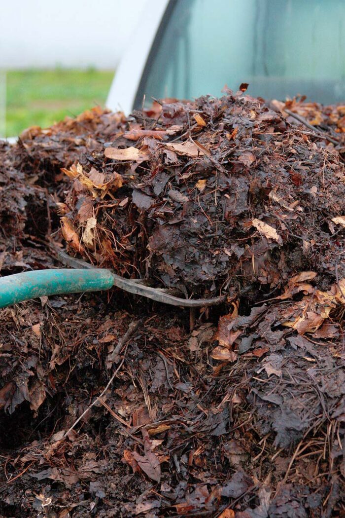 compost pile