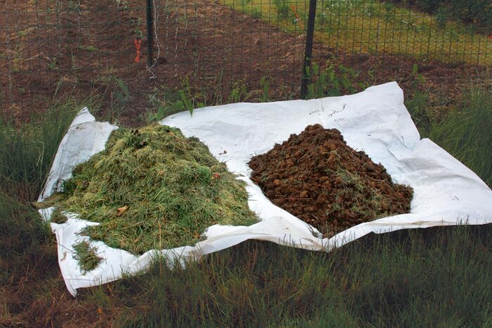 telling the difference between your compost