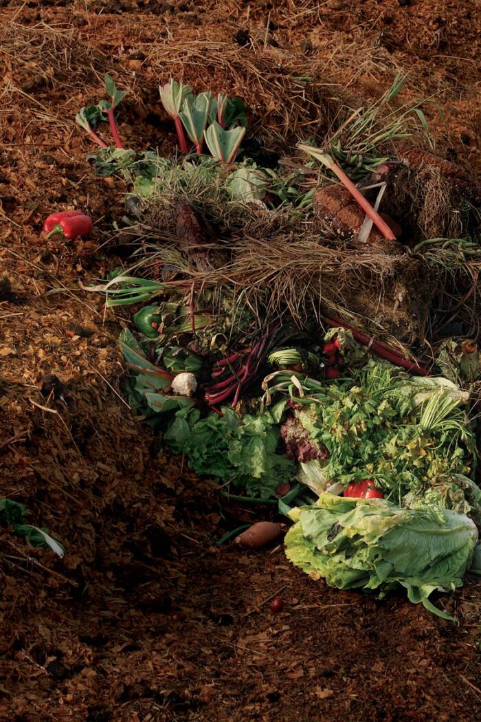 veggies in compost