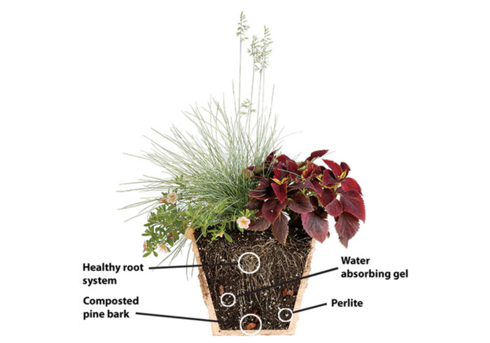 Choosing the Right Soilless Potting Mix - FineGardening