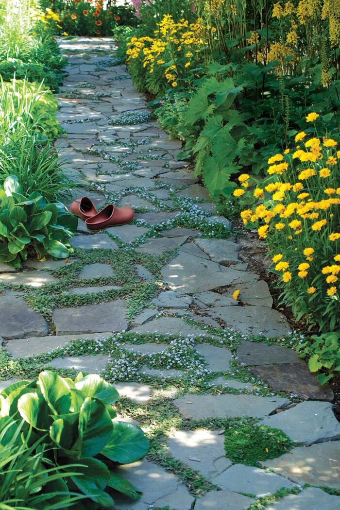 stone pathway with orange slip ons on the ground