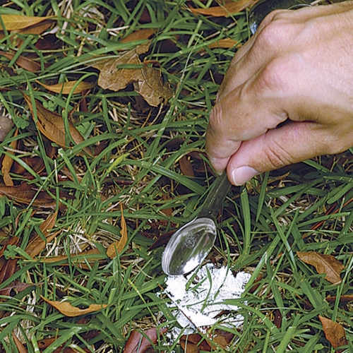 dusty milk for garden pests