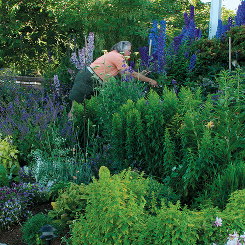 image of woman in large cutting garden