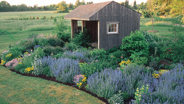 foolproof garden colors