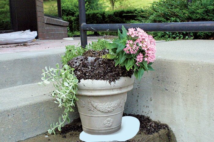 potted plant watering