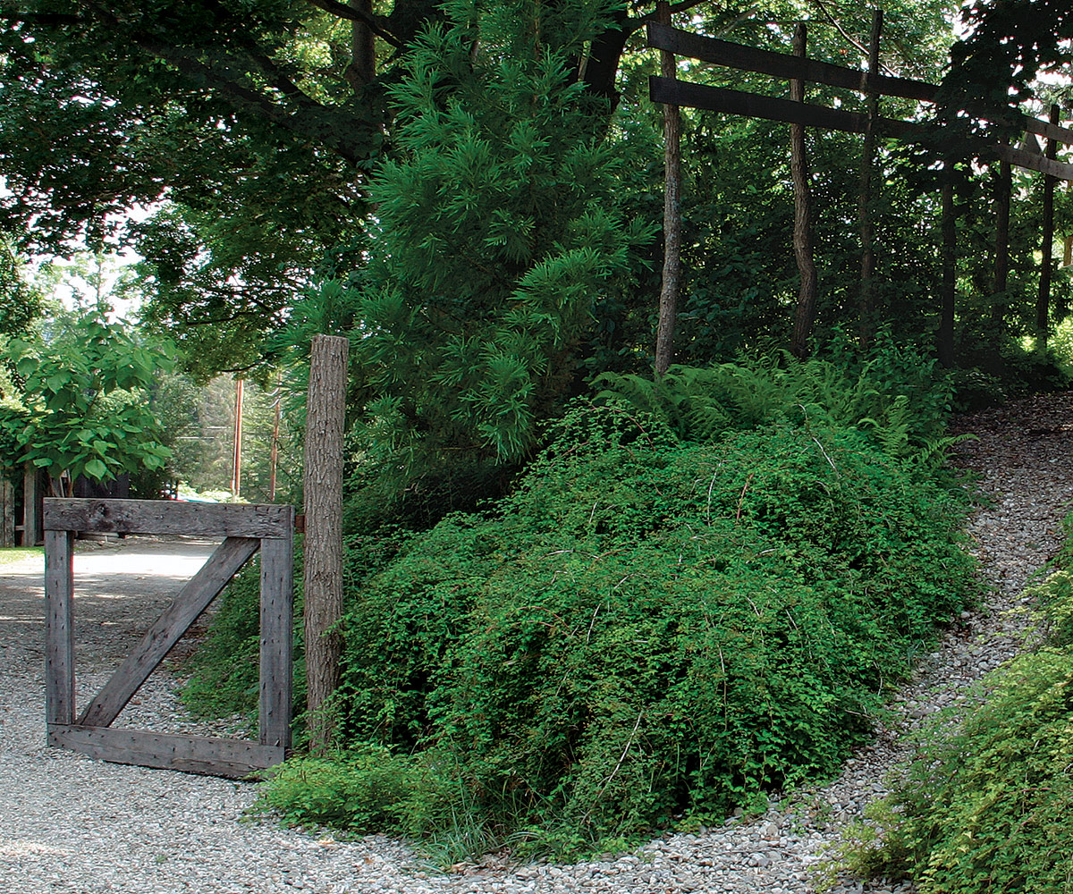 Steep slope covered with Sedum for erosion resistance - Sempergreen