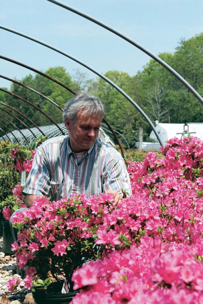 Picking out flowers