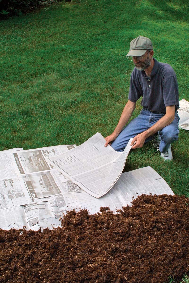 man setting newspaper down on grass to remove it