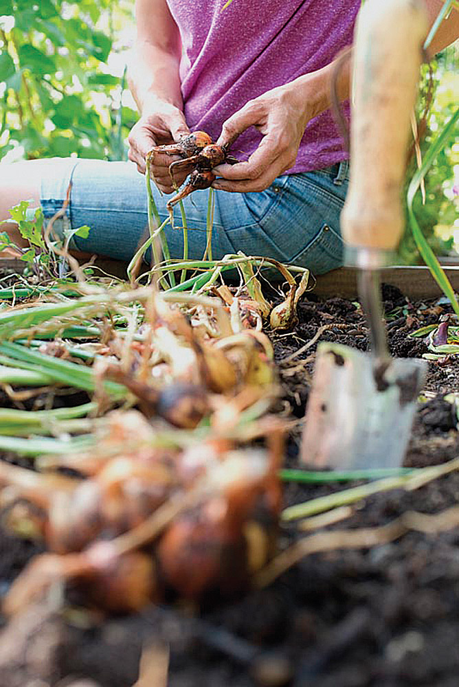 gardening