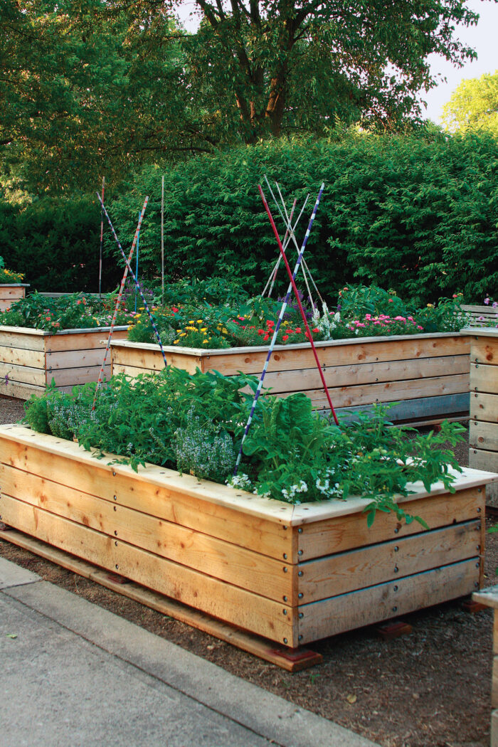 Garden beds with poles to help the growth