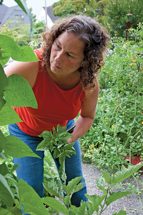 Everything is Growing Beautifully in My New Vegetable Garden - The