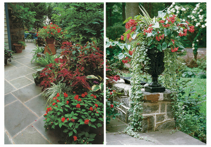 Container Plantings in the Shade Yield a Spectacular Garden