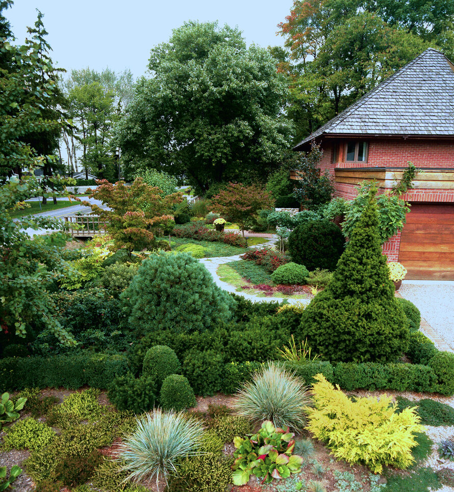 unique front yard plants