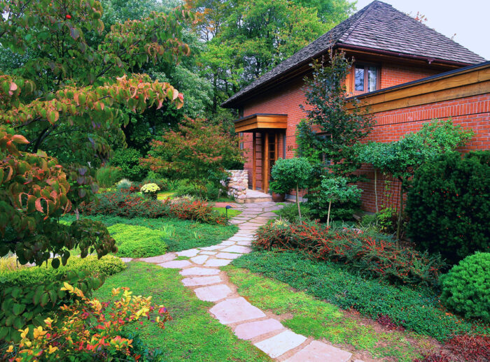 a lawnless front yard features multiple ground covers