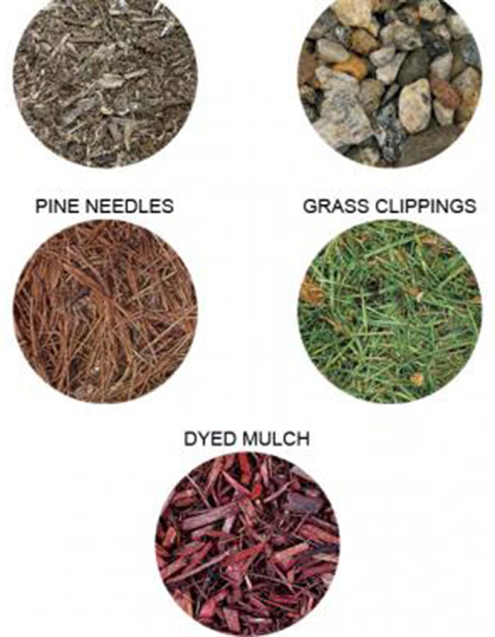 types of mulch