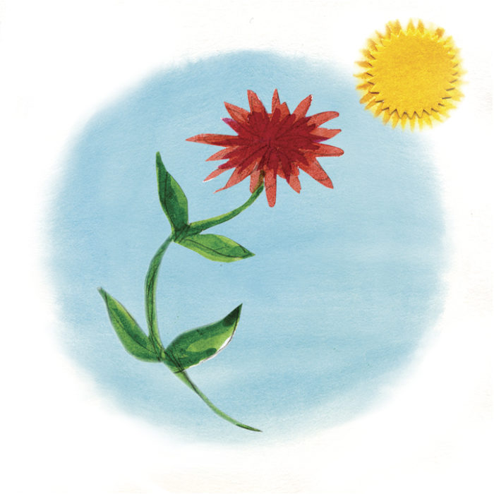 illustration of a red flower bending up toward the sun with a blue sky background