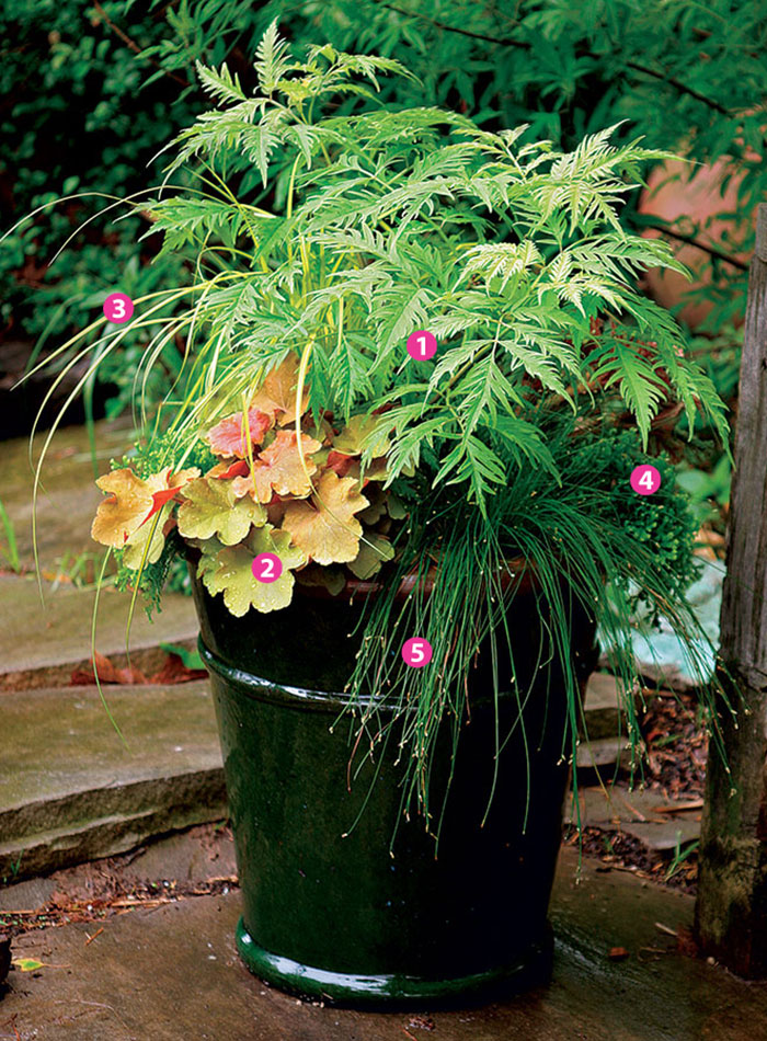 Fanciful DIY Kitchen-Garden Container Ideas - FineGardening