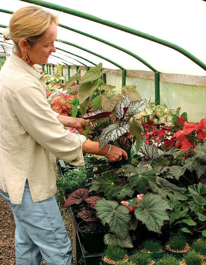 Fanciful DIY Kitchen-Garden Container Ideas - FineGardening