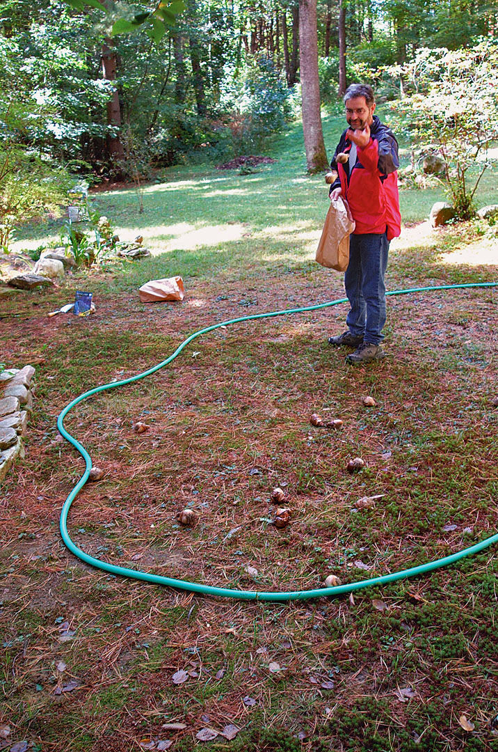 man scattering bulbs within a circle defined by a hose