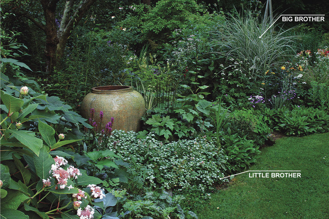 'Cabaret' miscanthus big brother and lamium little brother plant pairings