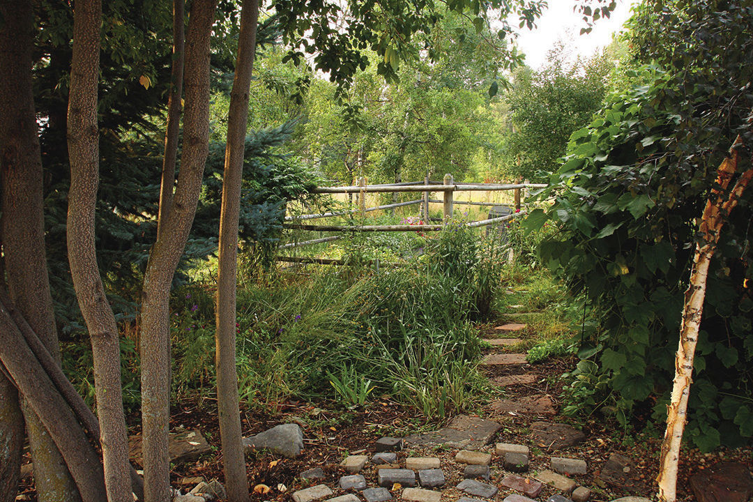 The Bone Yard garden of the author where she tries out new, unknown plants