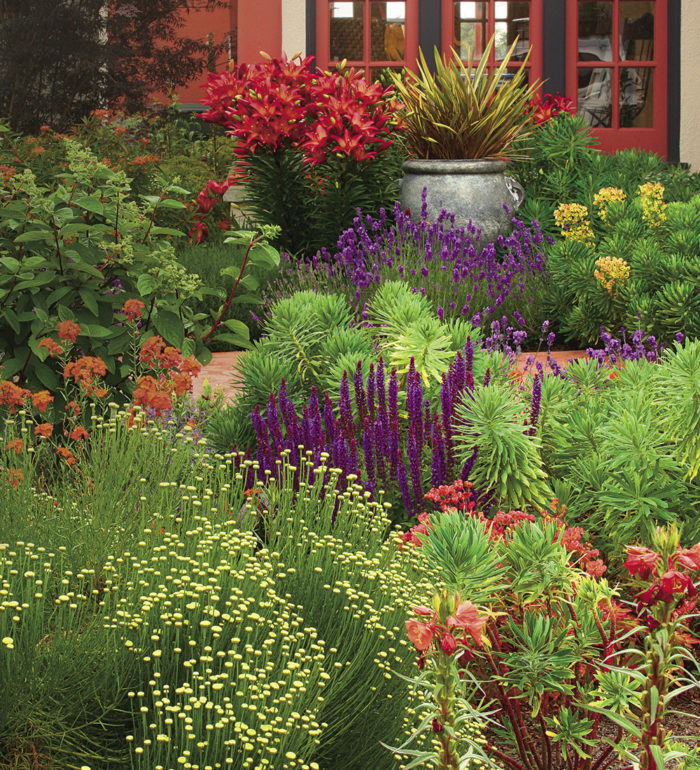 bold colorful plants in the garden, with shades of red, purple, yellow and chartreuse