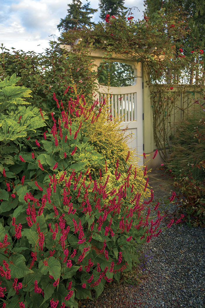 A fence surrounded by soft plantings