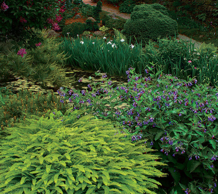 A variety of textured and colorful plants
