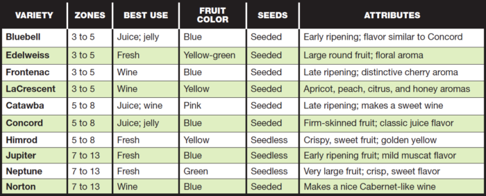 variety grape chart