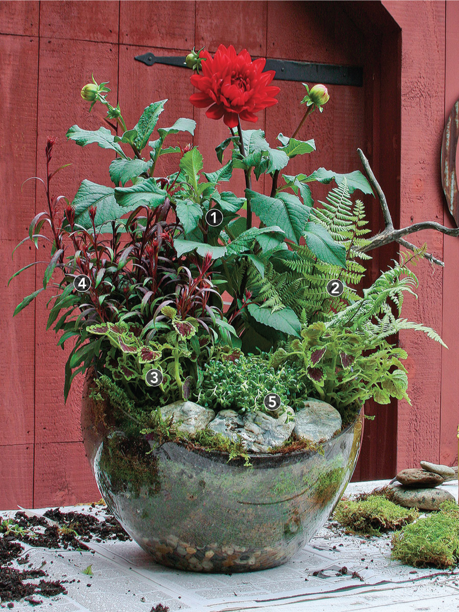 Creating a Garden in a Terrarium