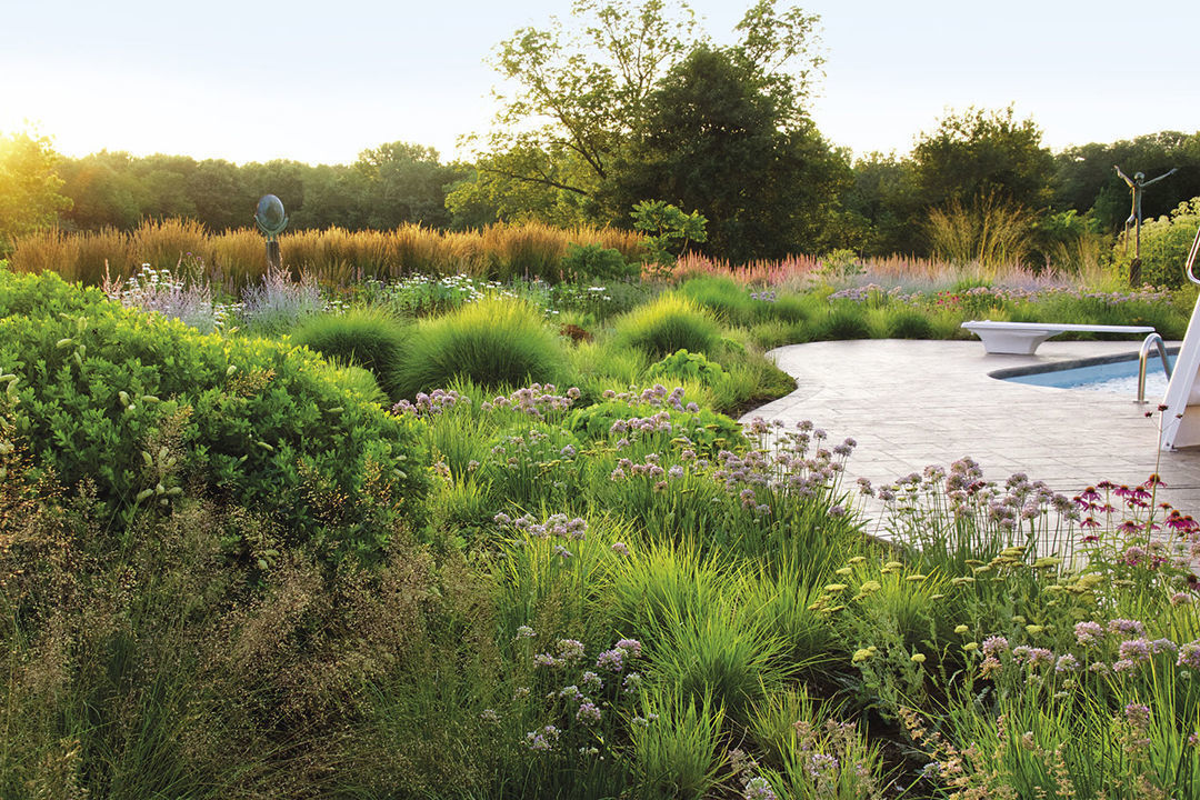 A broad view of the garden shows several different matrices, blending gracefully into each other because they incorporate plants that have similar textures and sizes.