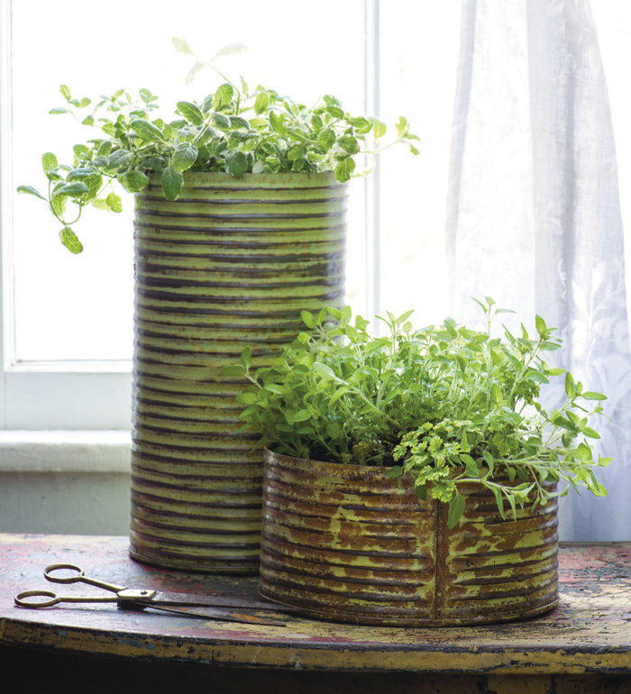 Growing Herbs in Containers and Indoors