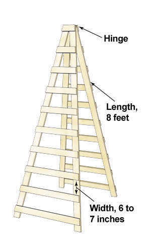 drawing of the trellis ladder showing the hinge, length and width