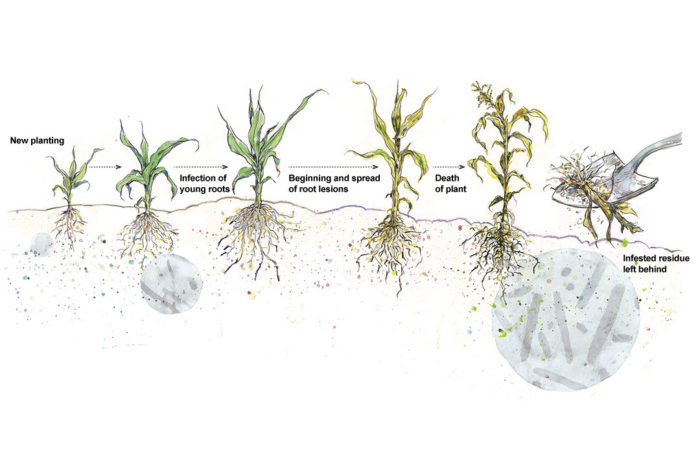 soil problem diagram