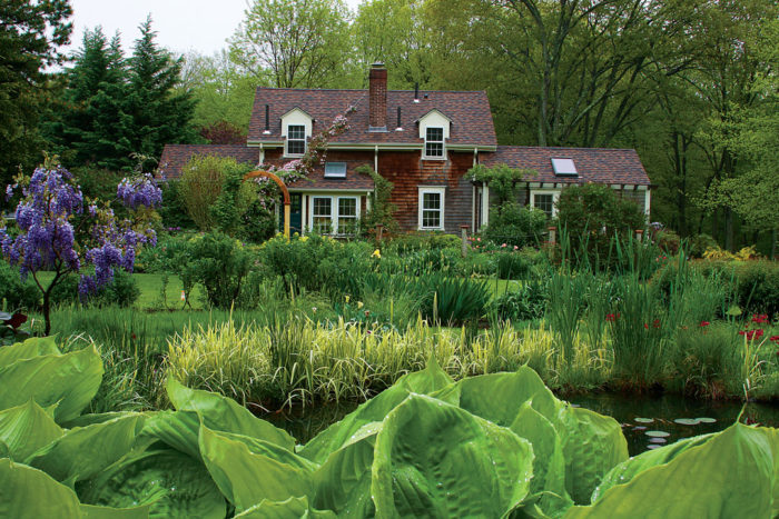 A house with a pond beyond the front year garden, featuring hosta with large chartreuse leaves