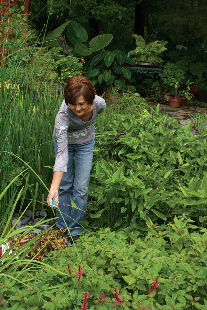 A woman leaning over to tend to her garden