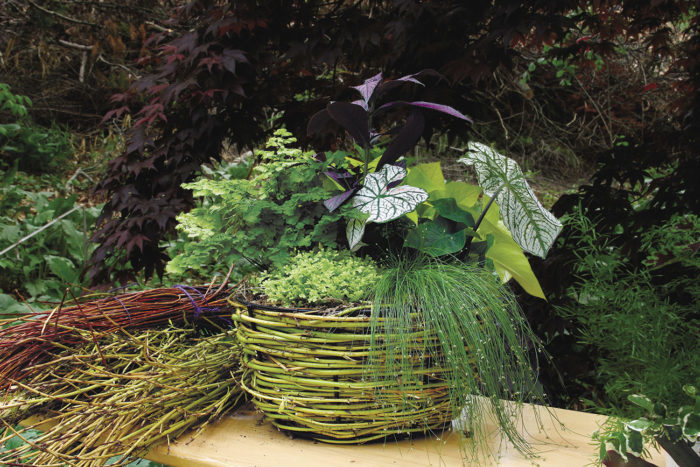 wire container with woven branches