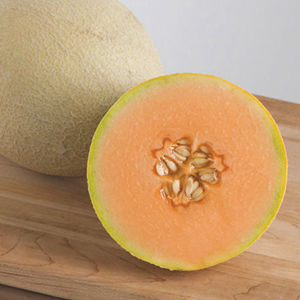 Cantaloupe