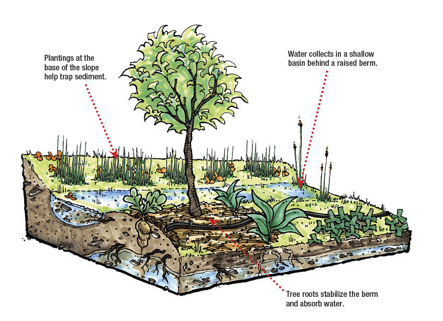 illustration of how an infiltration swale works