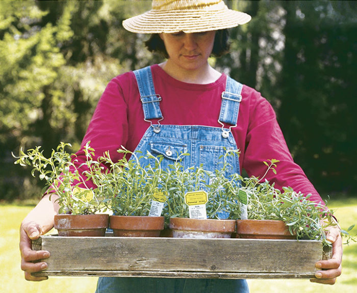 woman holding a tray of potted plants