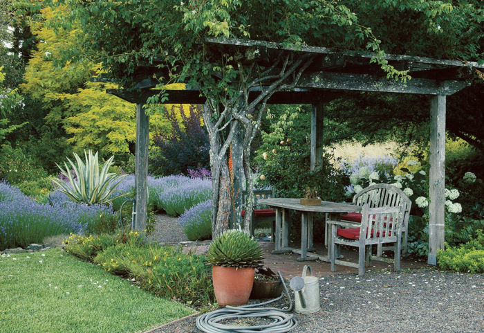 a pergola with a tree through it over a table and chairs, further from the house