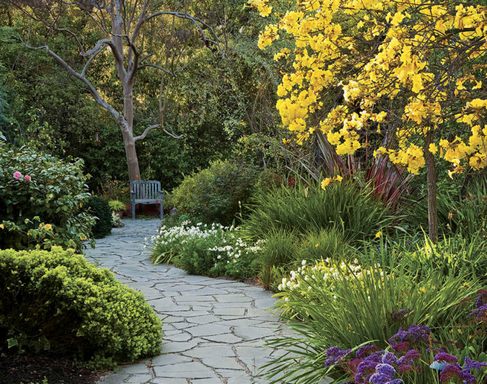 path lined with plants leading to a chair