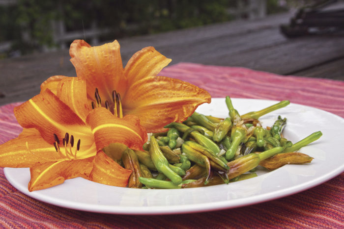 daylilies and their four edible parts on a plate