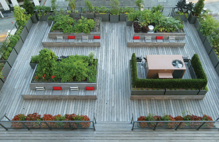 Aerial view of the rooftop garden; linear set up with open paths between raised beds and seating areas