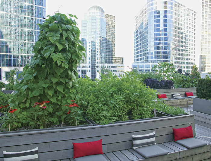 VIew of the skyline, a raised bed and seating area from the garden