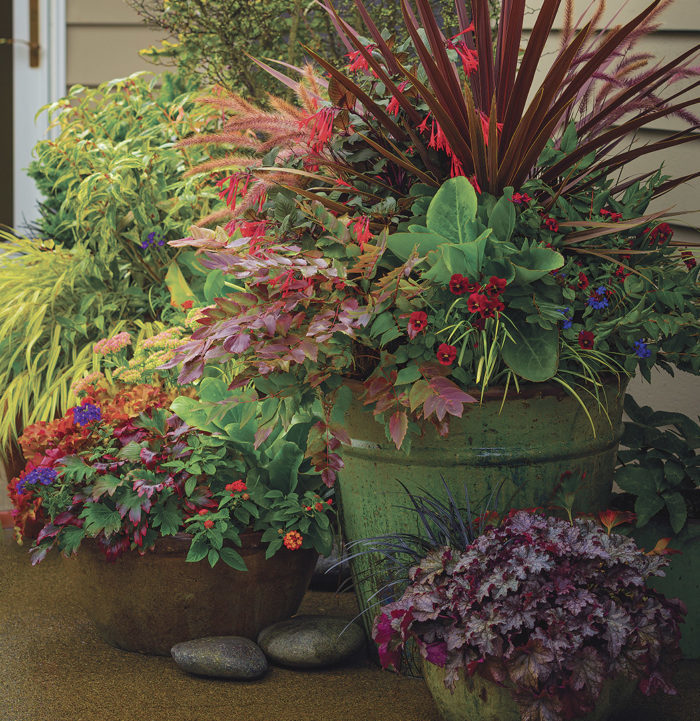 Cool-Season Containers